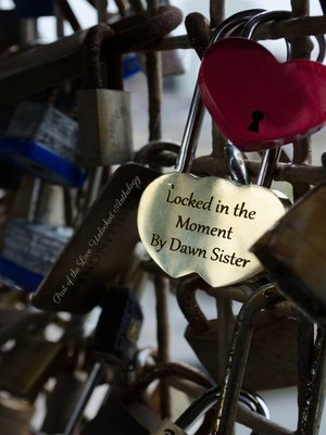 cover image of Locked in the Moment